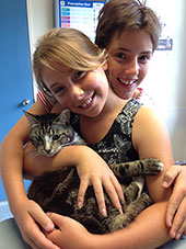 Cat vet Tauranga